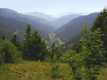 Oberzartener Loipe